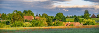 MWH_Mohnfeld mit Kirche